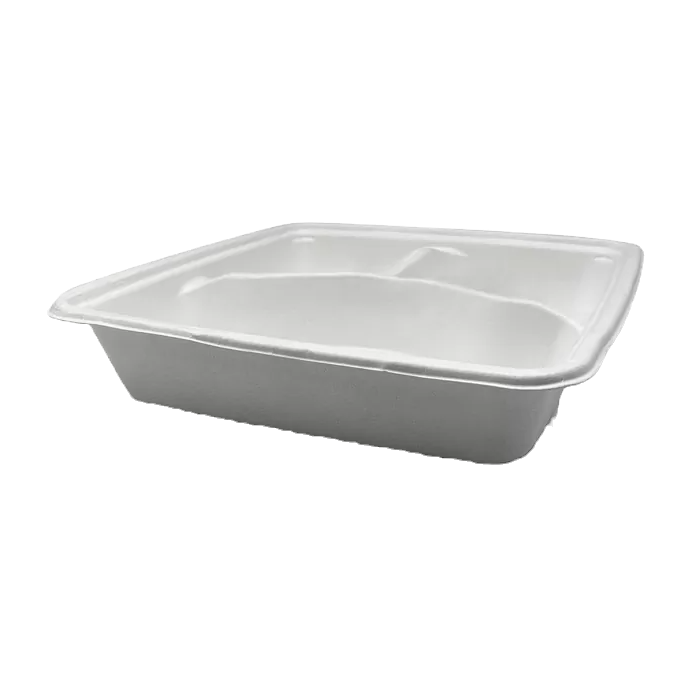 sugarcane square contianer 9 inches 3 compartment