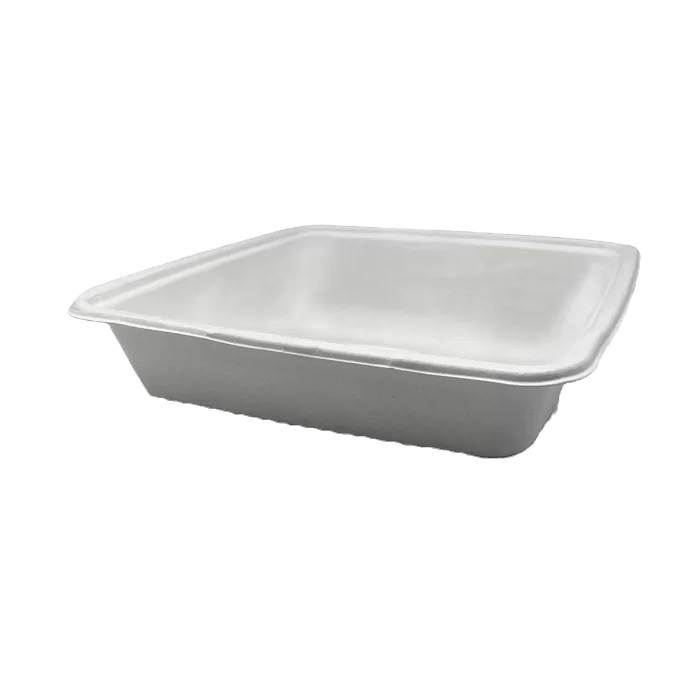 square sugarcane container 9