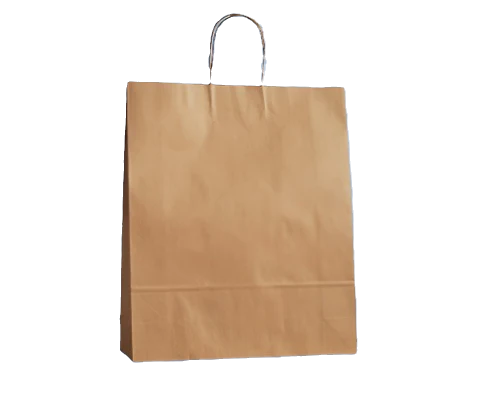 Brown Kraft Bag Twisted Paper Handle