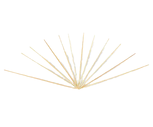 bamboo round skewers 250