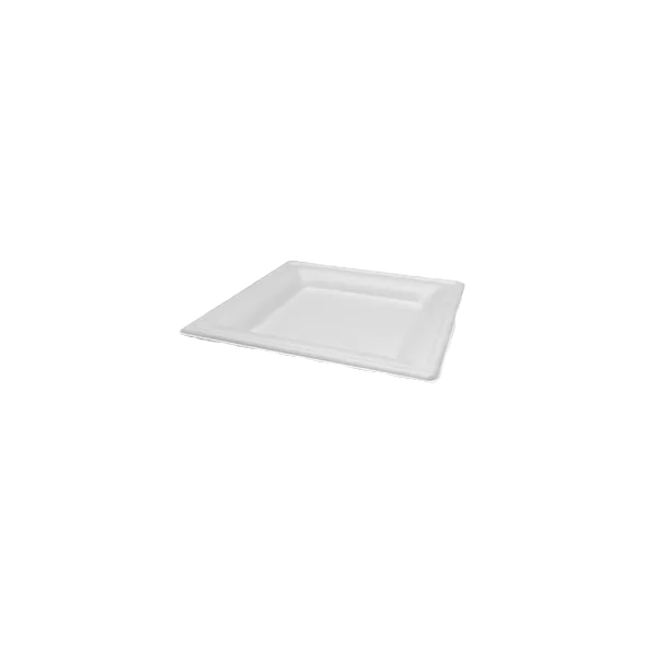 sugarcane square plates 6 inches
