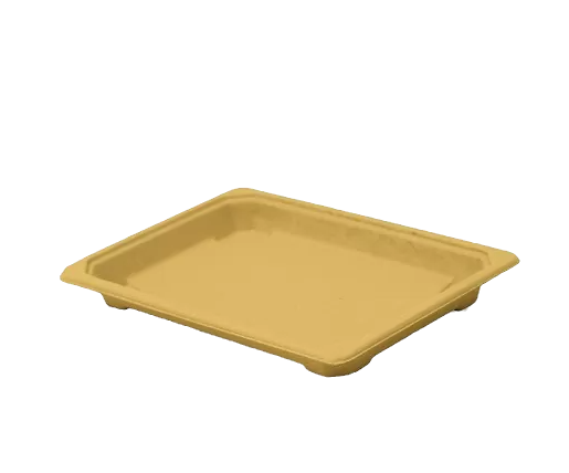 extra large sushi tray