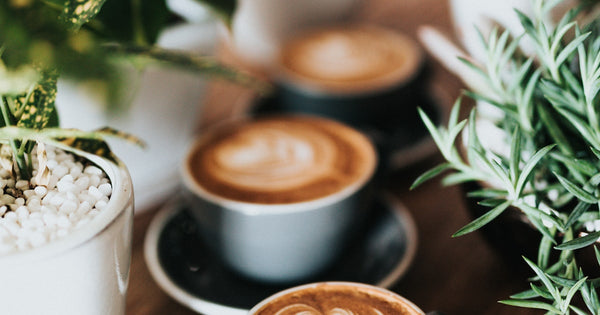 Single Wall vs Double Wall Coffee Cups: Which Should You Buy?