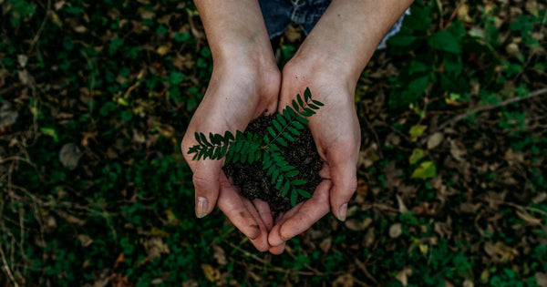 Discover the Best Ways to Reduce Waste and Recycle Like a Pro