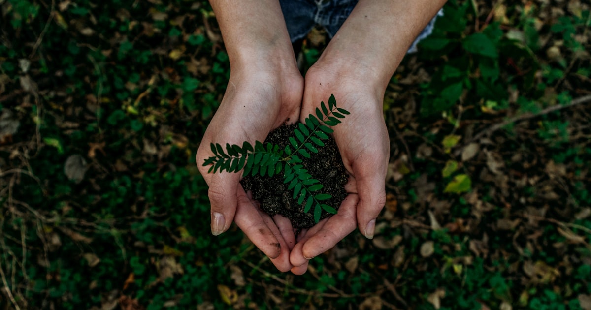 The Truth About Biodegradable Packaging: Can It Be Recycled?