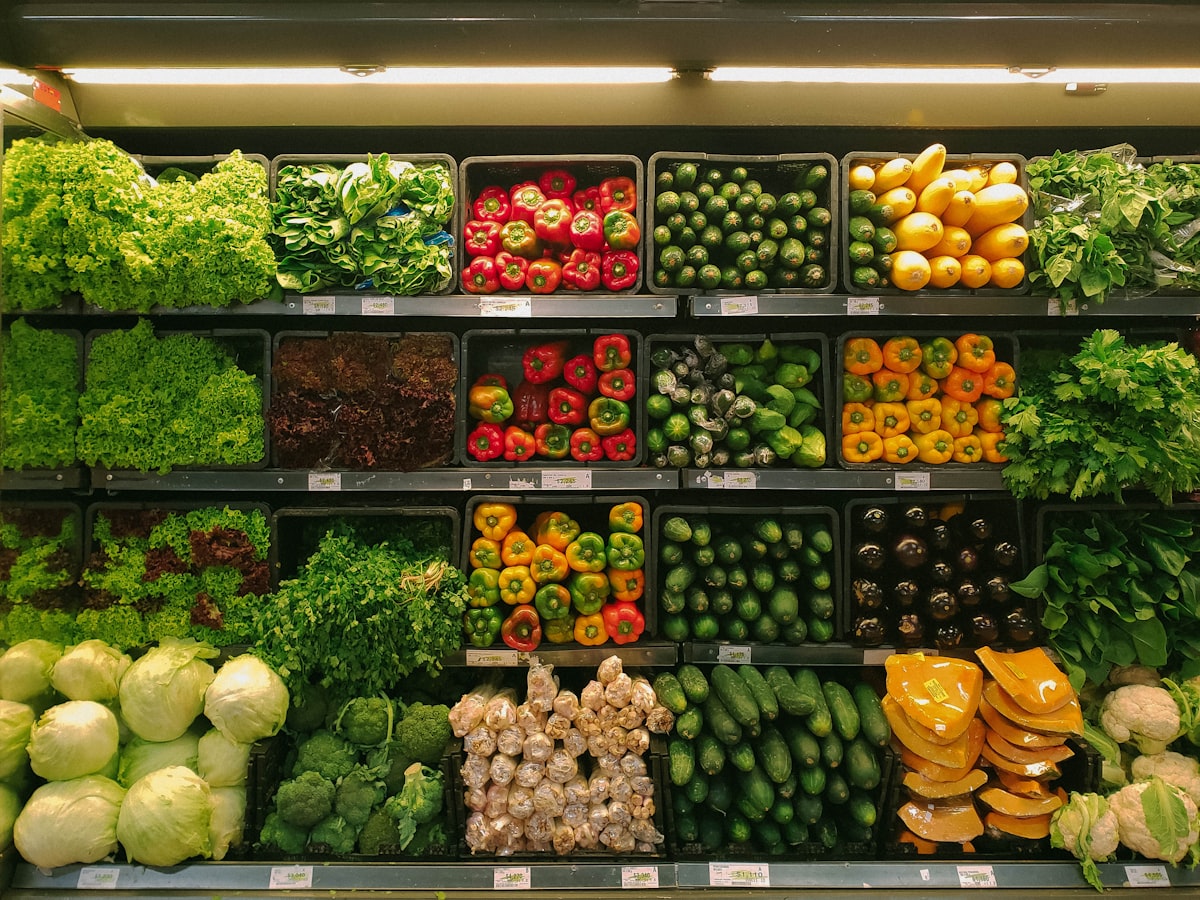 Solutions to Plastic Waste: A Guide to a Plastic-Free Future