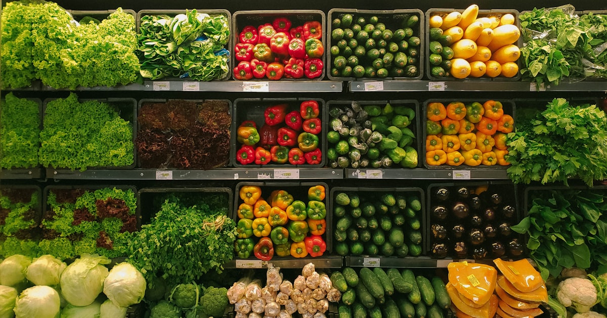 Biodegradable Pouches for Liquids: A Sustainable Solution for Packaging