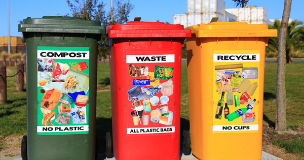 all bags eco packaging