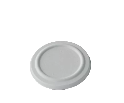 sugarcane tub lid