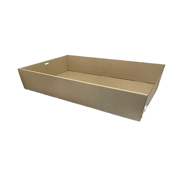 rectangle catering tray medium plus