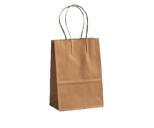 brown kraft bag with twisted handle in baby size