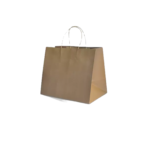 brown kraft bag with twisted handle in medium size