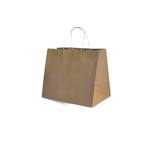 brown kraft bag with twisted handle in medium size