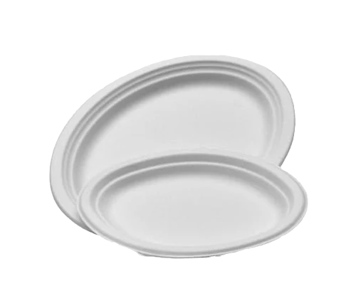 Oval Sugarcane Plate - Large (500pcs/ctn)