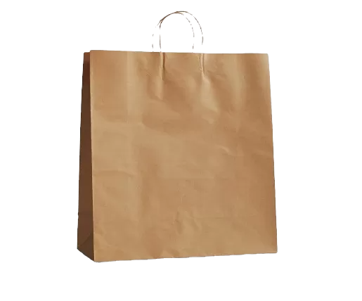 brown kraft paper bag with twisted handle large size