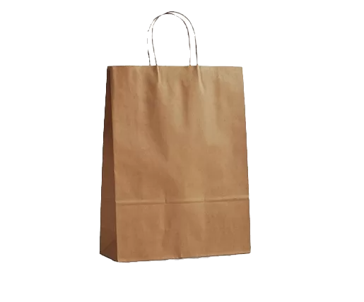 Brown Kraft Bag With Twisted Paper Handle -  Medium (250pcs/ctn)