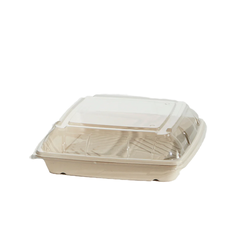 RPET Anti-Fog Lid For Sugarcane Platter - Medium (100pcs/ctn)