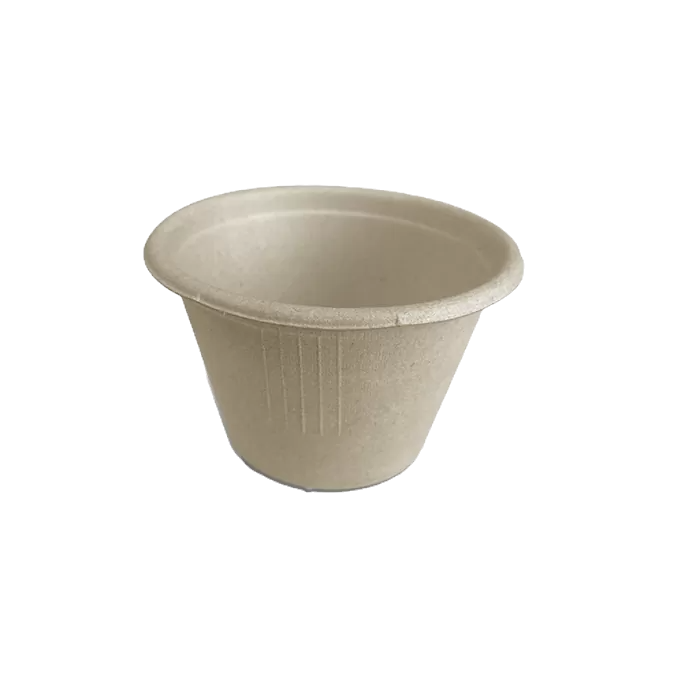 Unbleached Sugarcane Cup