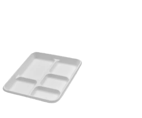 sugarcane platter plate
