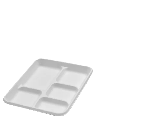 sugarcane platter plate
