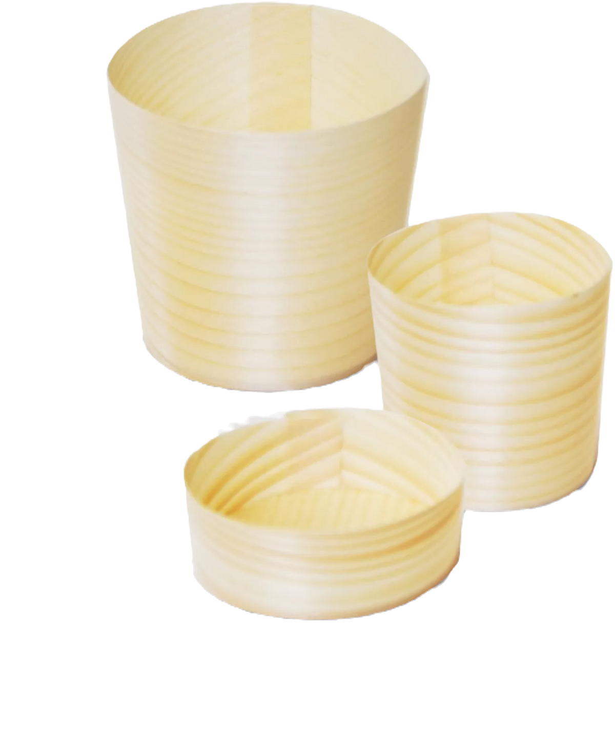 Pine Cup - Large (2000pcs/ctn)