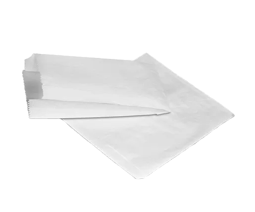 White Kraft Flat Paper Bag in 1F size