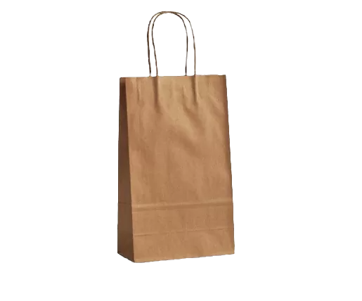 Brown Kraft Bag With Twisted Paper Handle in small size