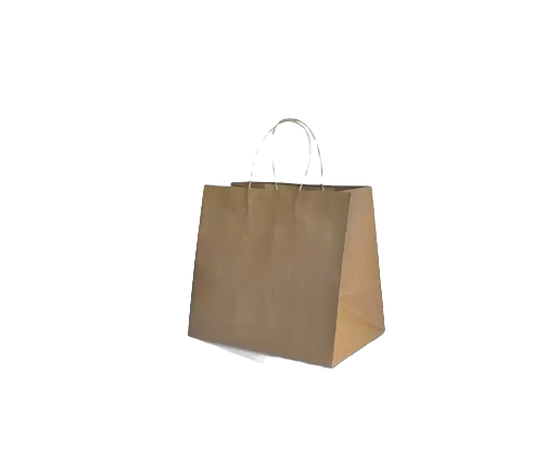 brown kraft bag with twisted paper handle in small size