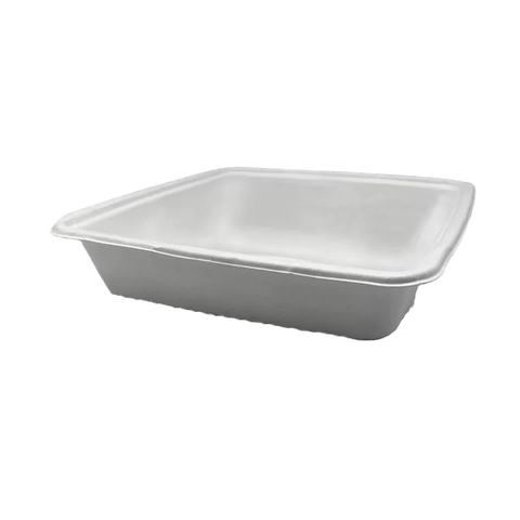 square sugarcane container 9