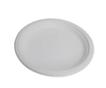 10" White sugarcane round plates