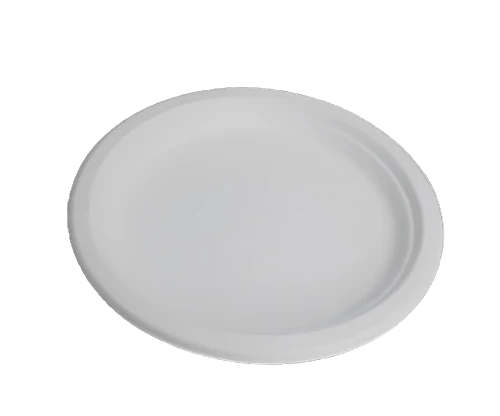 10" White sugarcane round plates