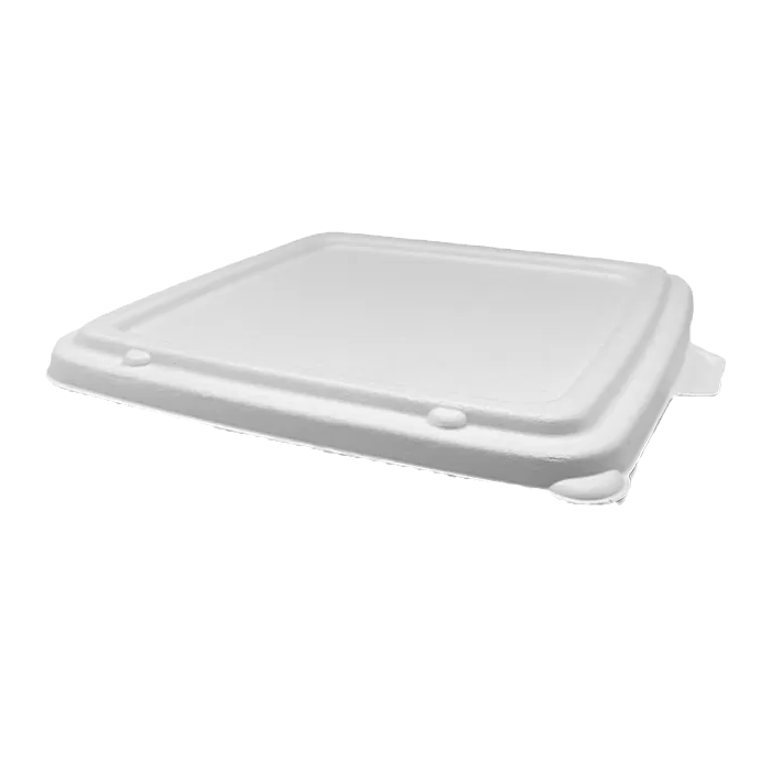 square sugarcane lid 9 inches