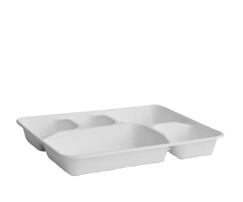 five compartment white sugarcane plate