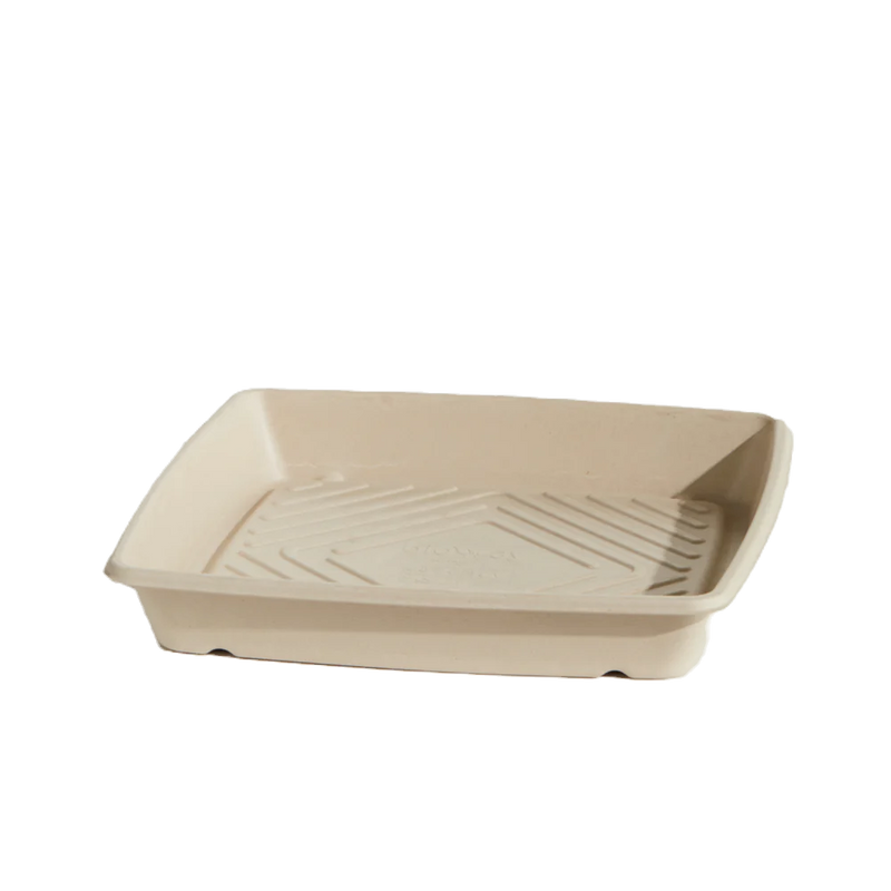 unbleached sugarcane platter base