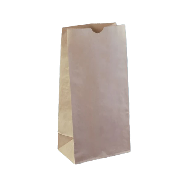Brown Kraft Takeaway Bags - SOS 8