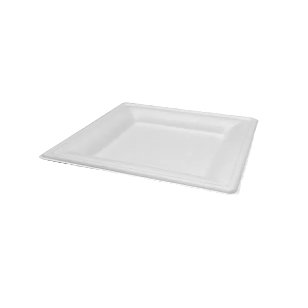 sugarcane square plate 10 inches