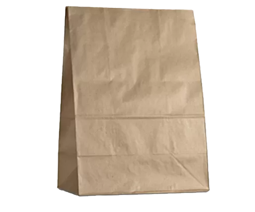 kraft takeaway bag sos 25