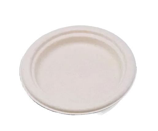 unbleached sugarcane round plate 10 inches