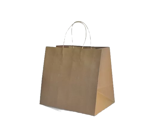 brown kraft takeaway bag with twisted handle large