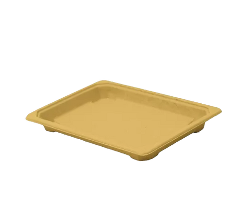 extra large sushi tray